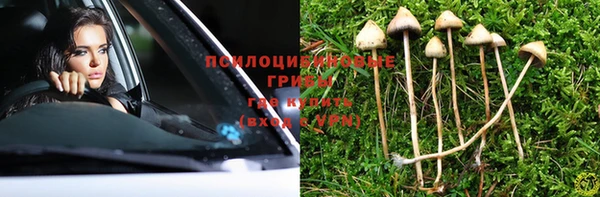 прущие крисы Белоозёрский