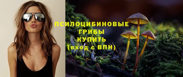 прущие крисы Белоозёрский